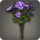 Purple byregotia icon1.png
