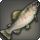 Splendid egg-bearing trout icon1.png