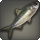 Young indigo herring icon1.png