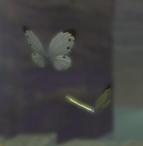 ffxiv butterfly effect minion
