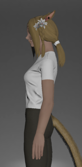 File:Form-fitting Plain Neotunic side.png