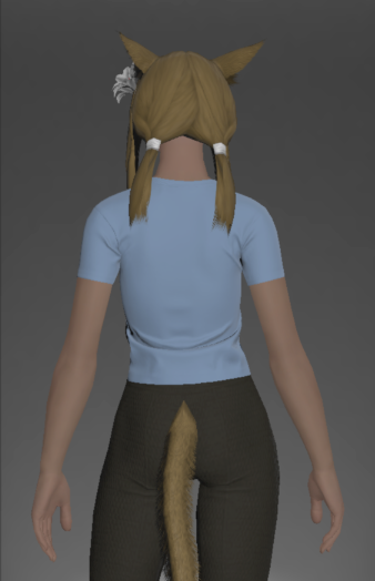 File:Form-fitting Chocobo Neotunic rear.png