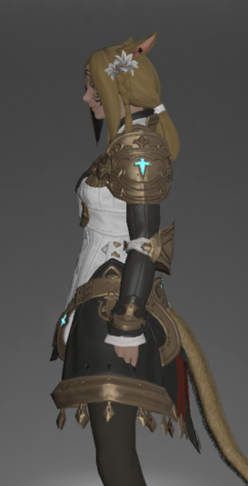 File:Augmented Scaevan Tabard of Aiming left side.png