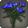 Blue carnations icon1.png