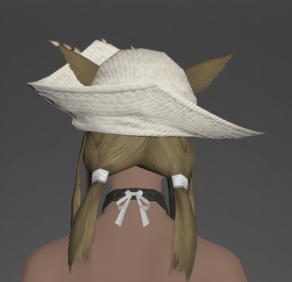 Aetherial Cavalier's Hat rear.png