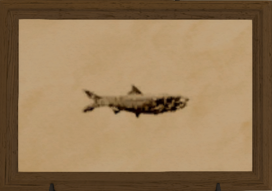 File:Grinning Anchovy print.png