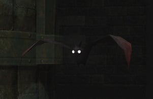 Aqueduct Bat