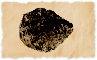 File:Creamy oyster.png