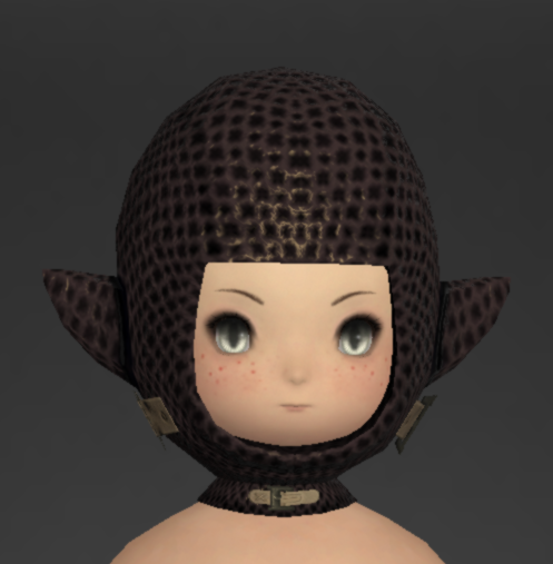 File:Bronze Chain Coif 1.png