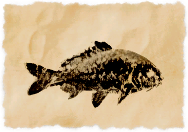 File:Custodian carp.png