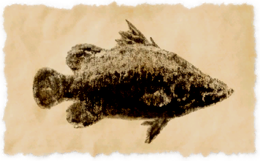 File:Red-eyed lates.png