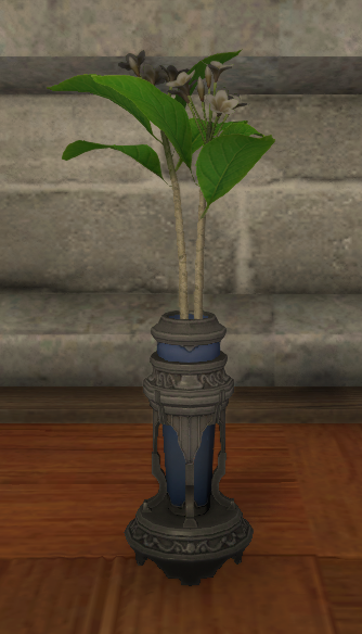 File:Black Champa.png