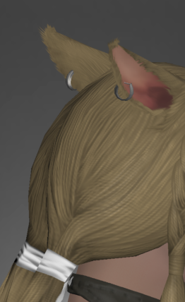 Direwolf Accessories Disciples of Magic