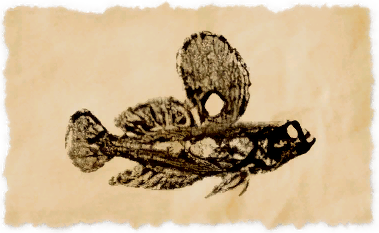 File:Kozama'uka skipper.png