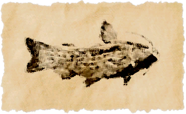 File:Welkin catfish.png