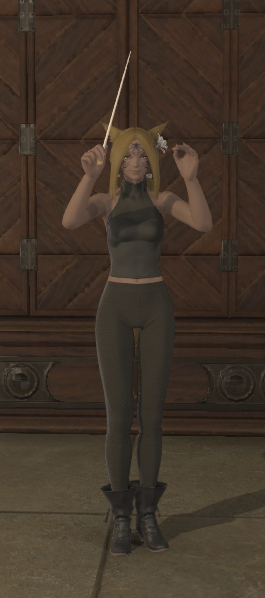 File:Conduct emote 1.png