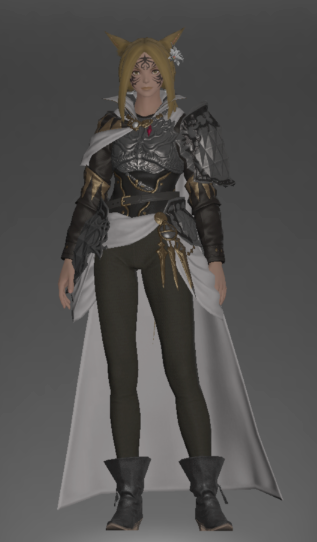 File:Diamond Armor of Fending front.png