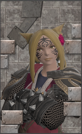 File:789th Order Portrait Preset example.png