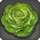Rarefied iceberg lettuce icon1.png