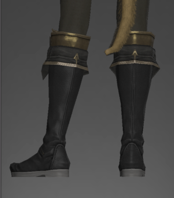 File:Therapeutes's Boots rear.png