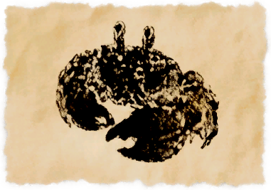 File:Coerthan crab.png