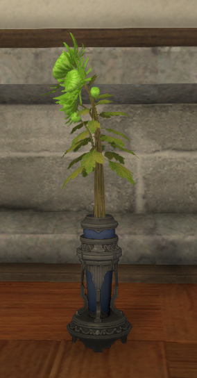 File:Green Chrysanthemums.png