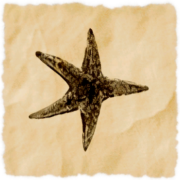File:Star of the destroyer.png