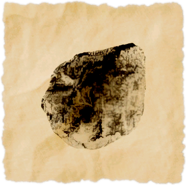 File:Coffer shell.png