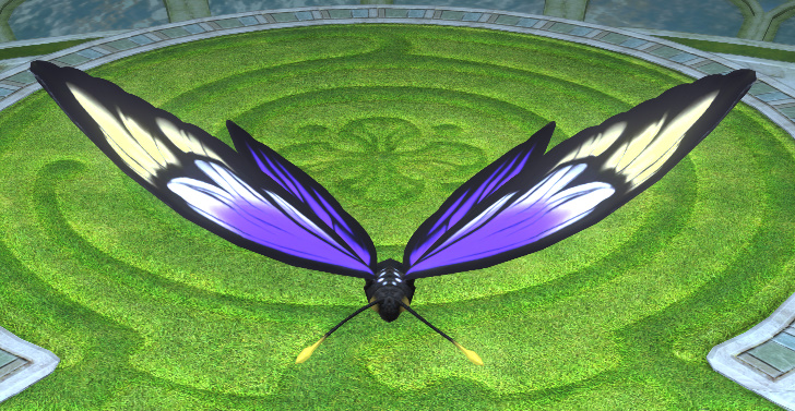 File:Dungeon Purple Morpho.jpg