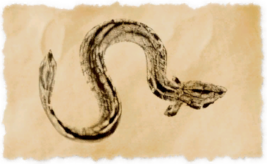 File:Trader eel.png