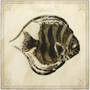 File:Nimble dancer.png