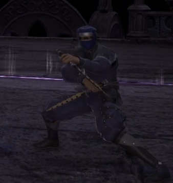 File:Sacrificed Ninja.jpg