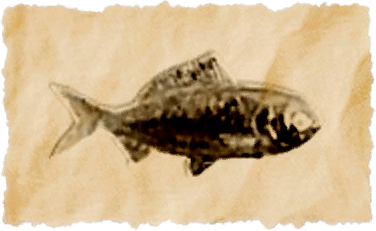 File:False fusilier.png