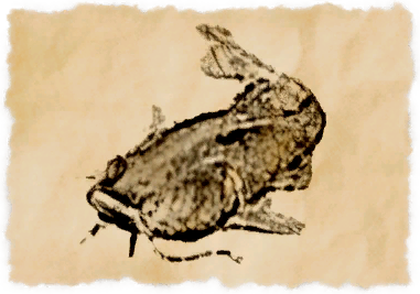 File:Whilom catfish.png