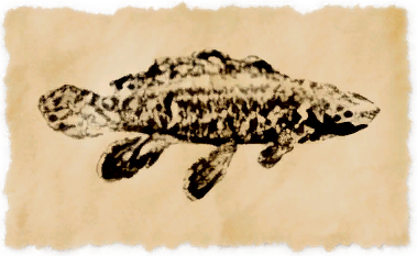 File:Bowfin.png