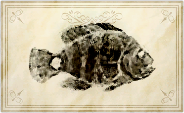 File:Ilyon asoh cichlid.png