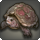 Mossy tortoise icon1.png