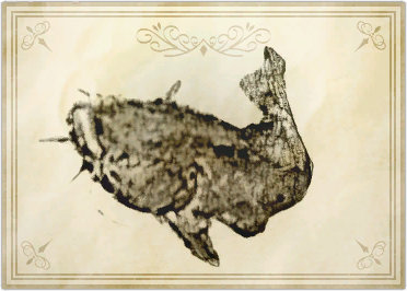 File:Bloodtail zombie.png