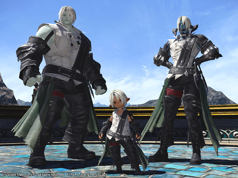 Scion Rogue's Jacket - Final Fantasy XIV Online Wiki - FFXIV / FF14 ...