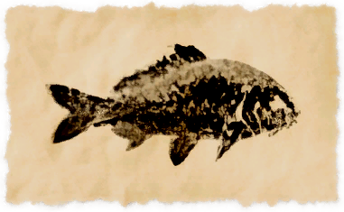 File:Violet prismfish.png