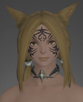 File:The Forgiven's Necklace of Healing front.png