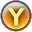 Y Button