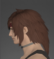 Common Makai Sun Guide's Circlet left side.png