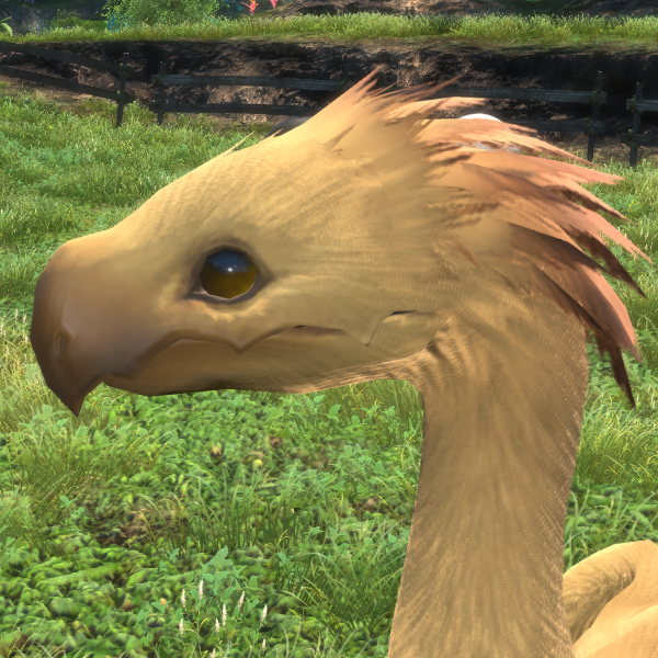 File:Chocobo Top.png