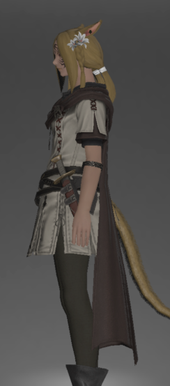 File:Wayfarer's Tabard left side.png