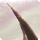 ARR sightseeing log 31 icon.png