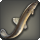 Brass loach icon1.png