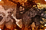 Dungeons (Lv. 60) icon1.png