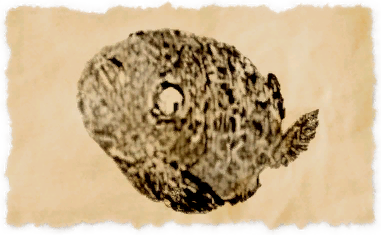 File:Lampfish.png