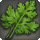Water mint icon1.png
